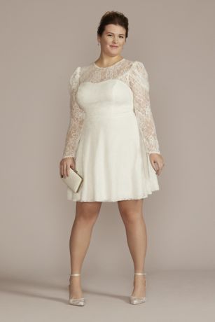Allover Lace Puff Long Sleeve Plus Size ...